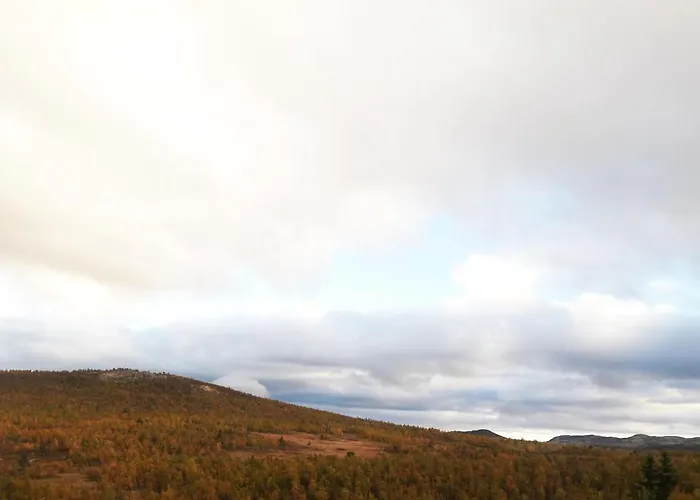 Idyllic Log With Ski-inout At Dagalifjell Feriehus